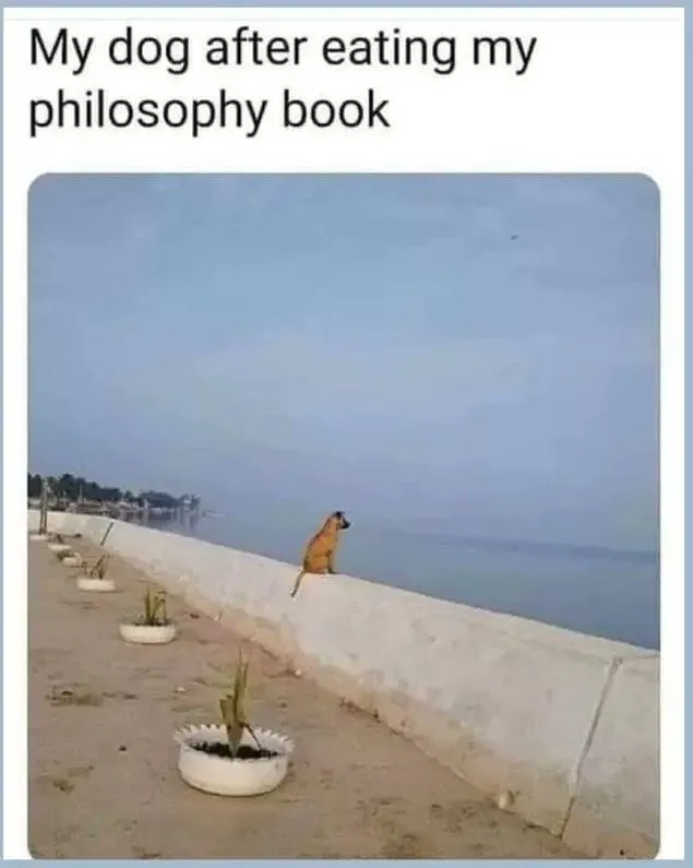 吃了哲学课本的狗狗