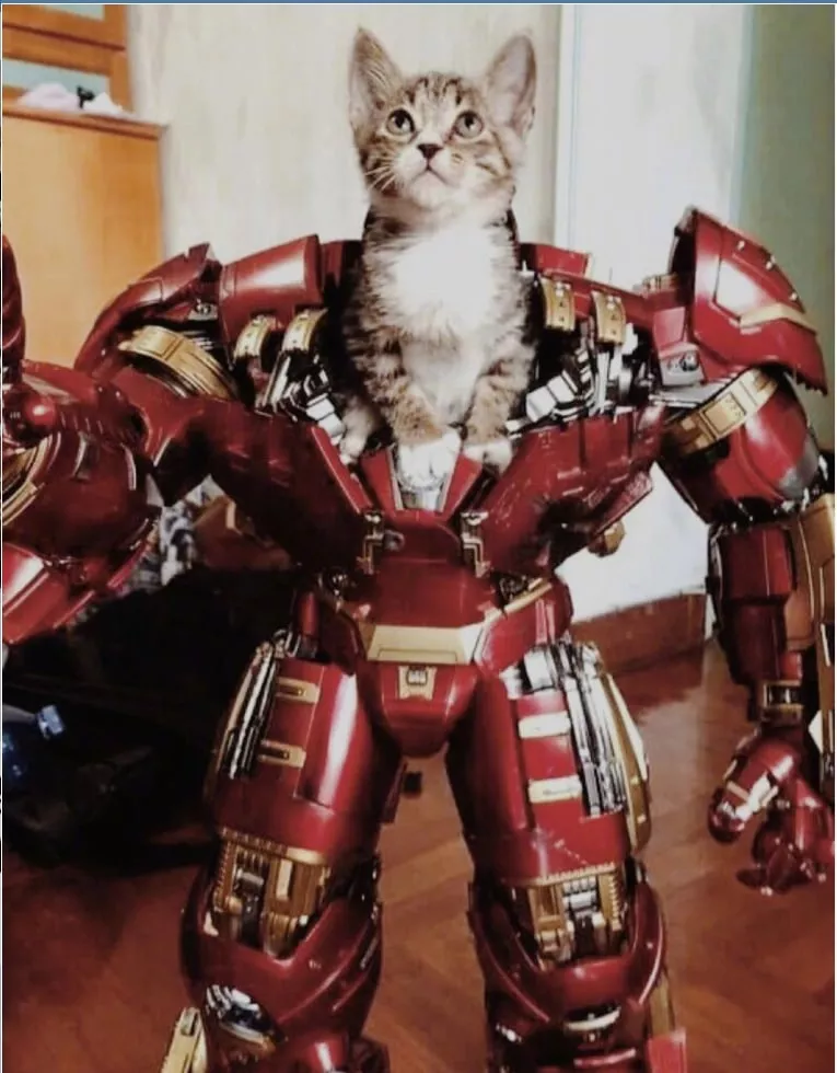 猫猫钢铁侠