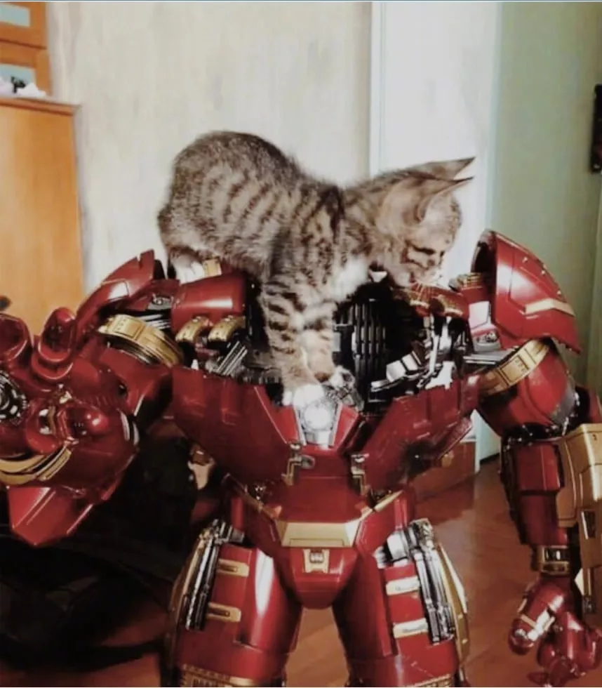 Cat Iron Man