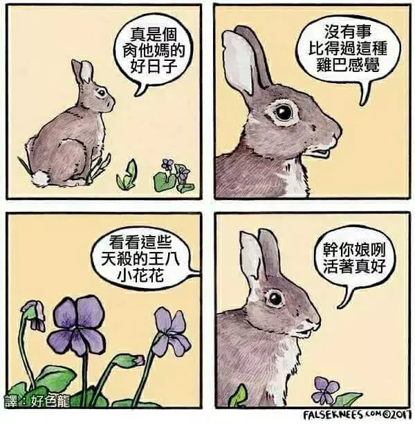 脏话兔
