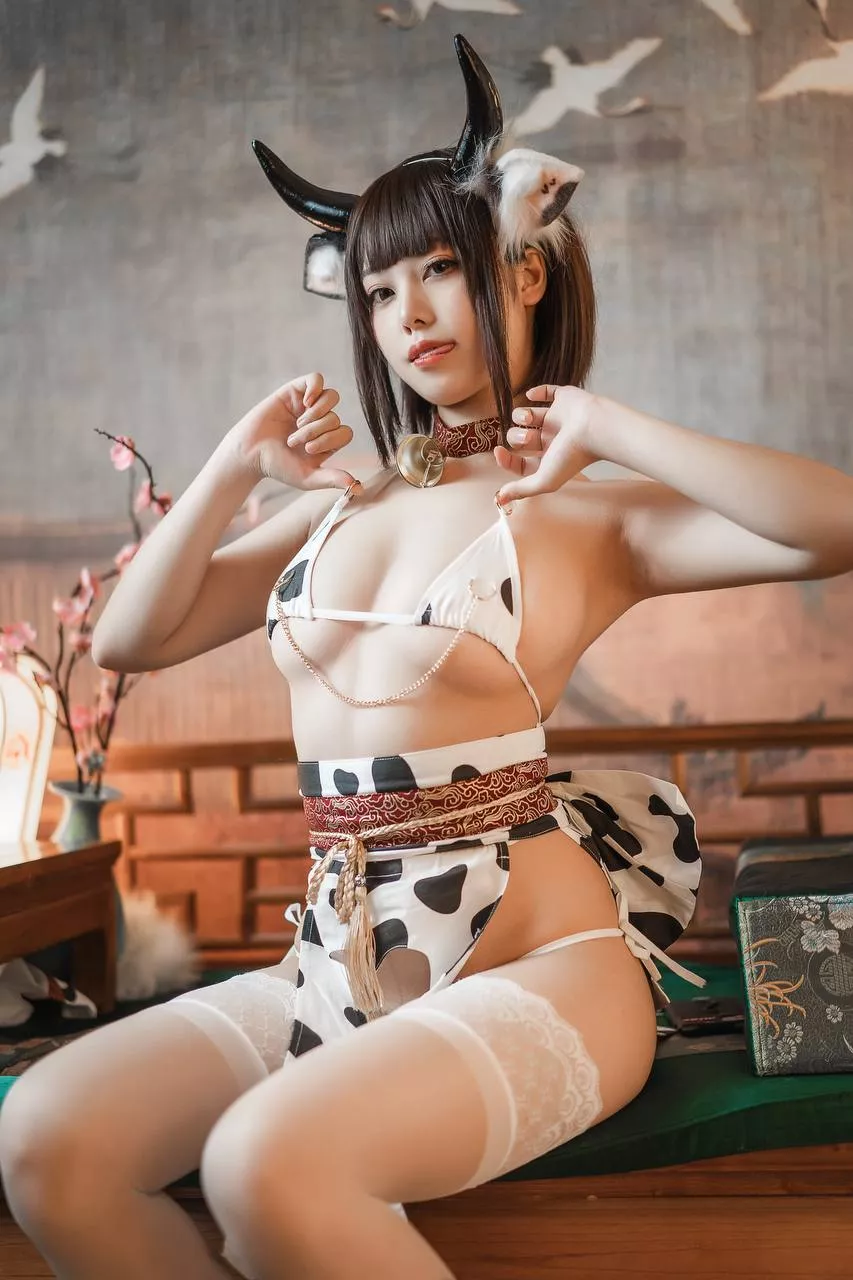 A milk cow?
