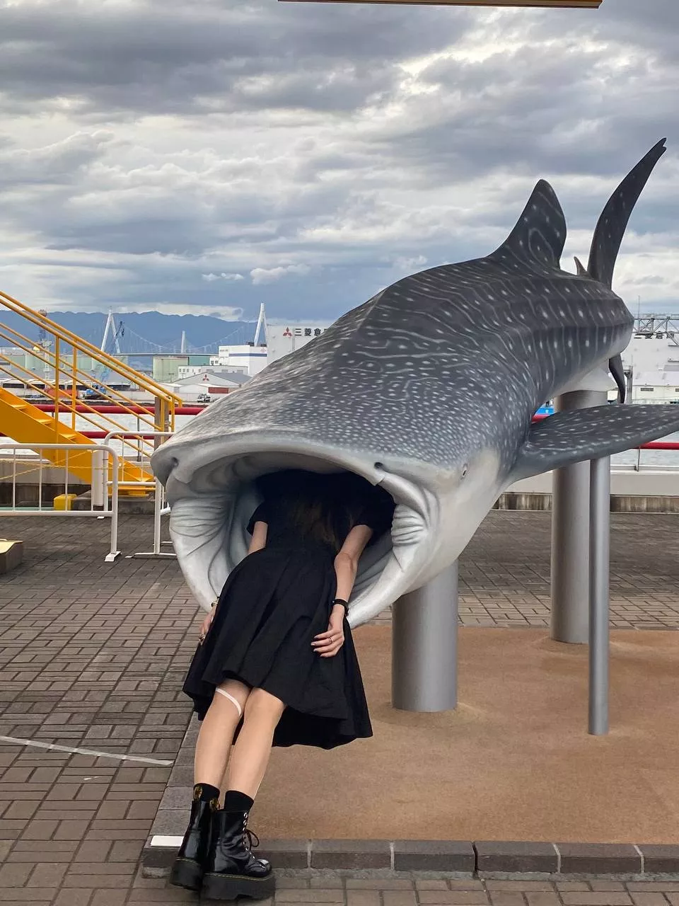 水族館 とてもキュートだ。