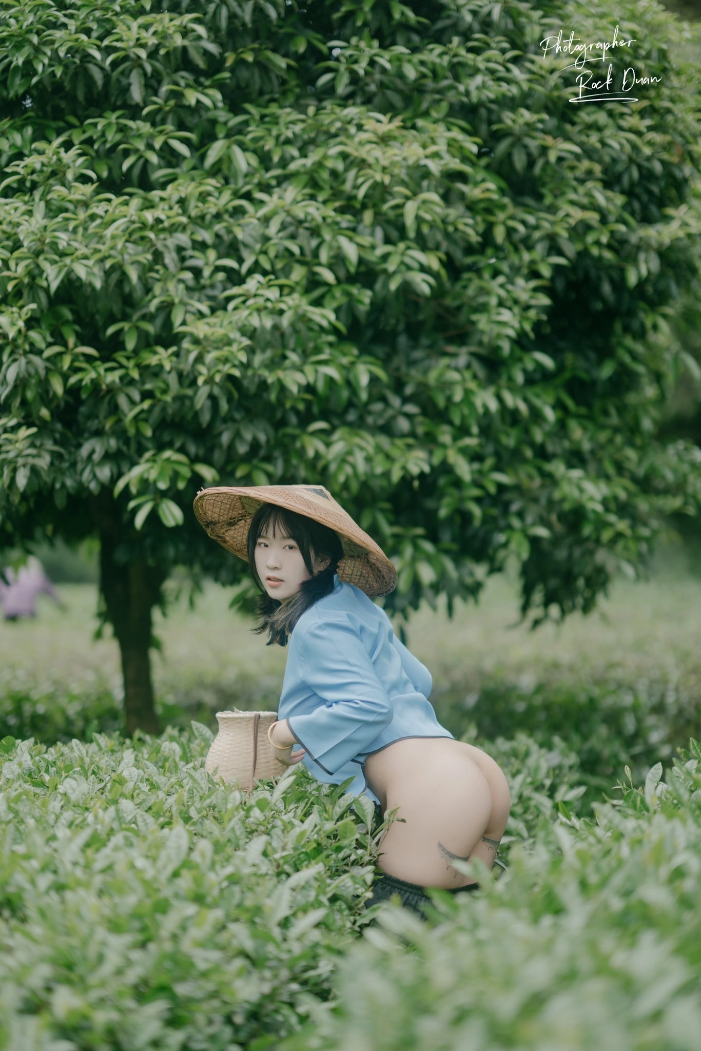 Little girl picking tea leaves