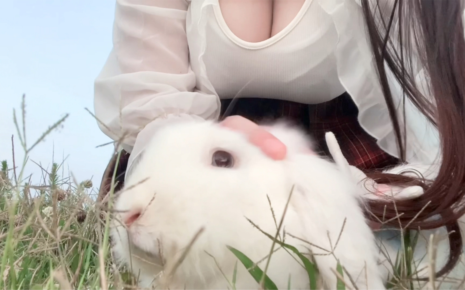 小白兔 B站up主 软月月