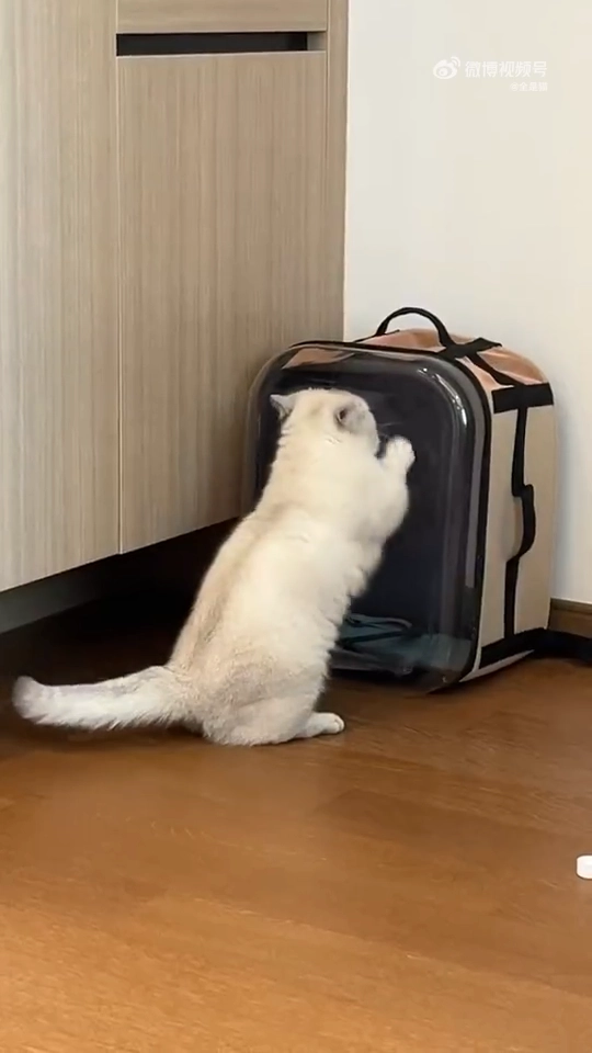 找工作的你vs找到工作的你