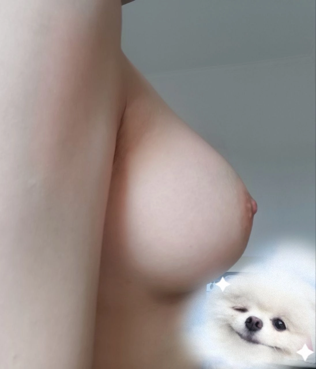 Pomeranian (person)