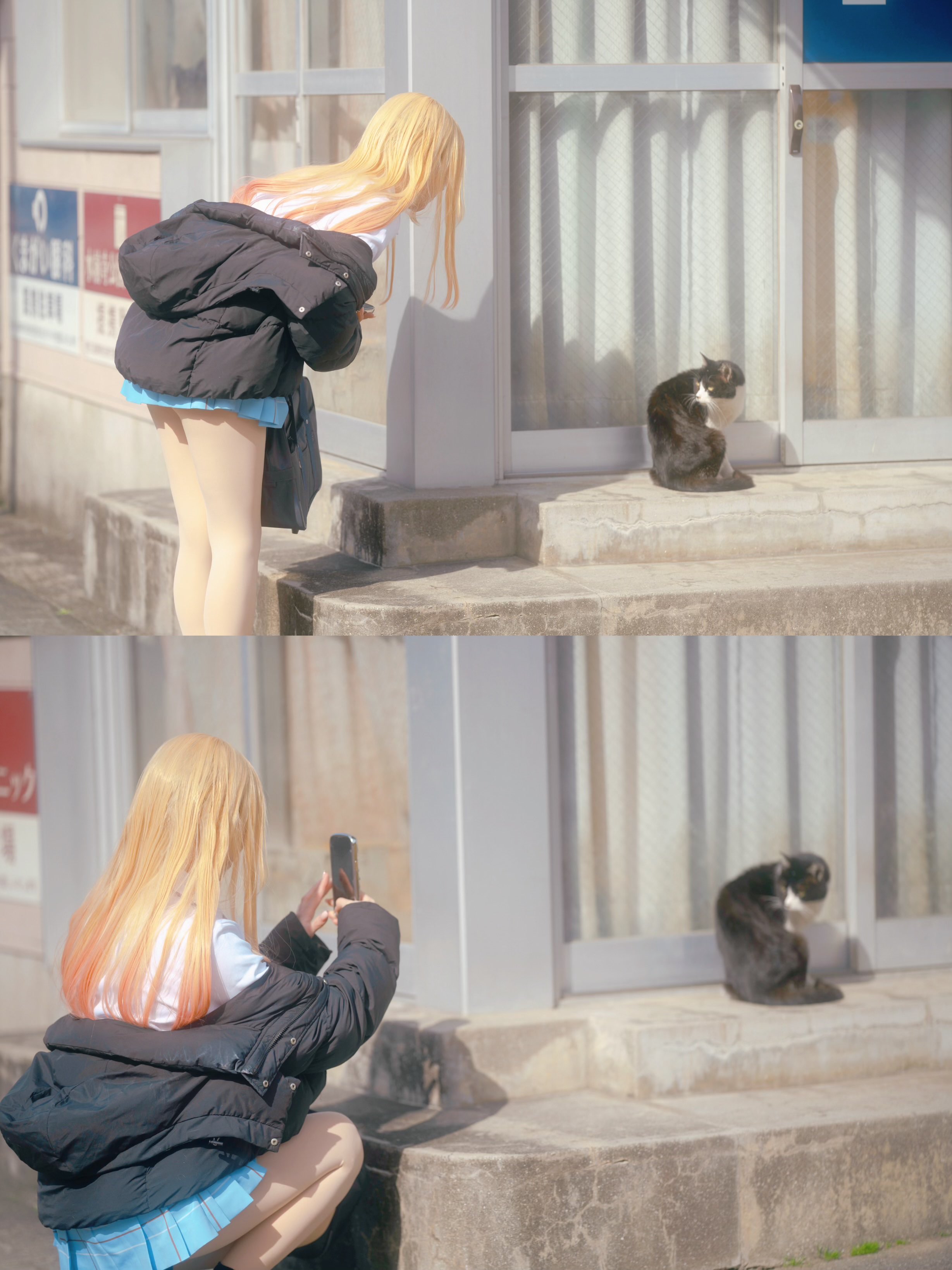 女人拍了一张猫的照片。