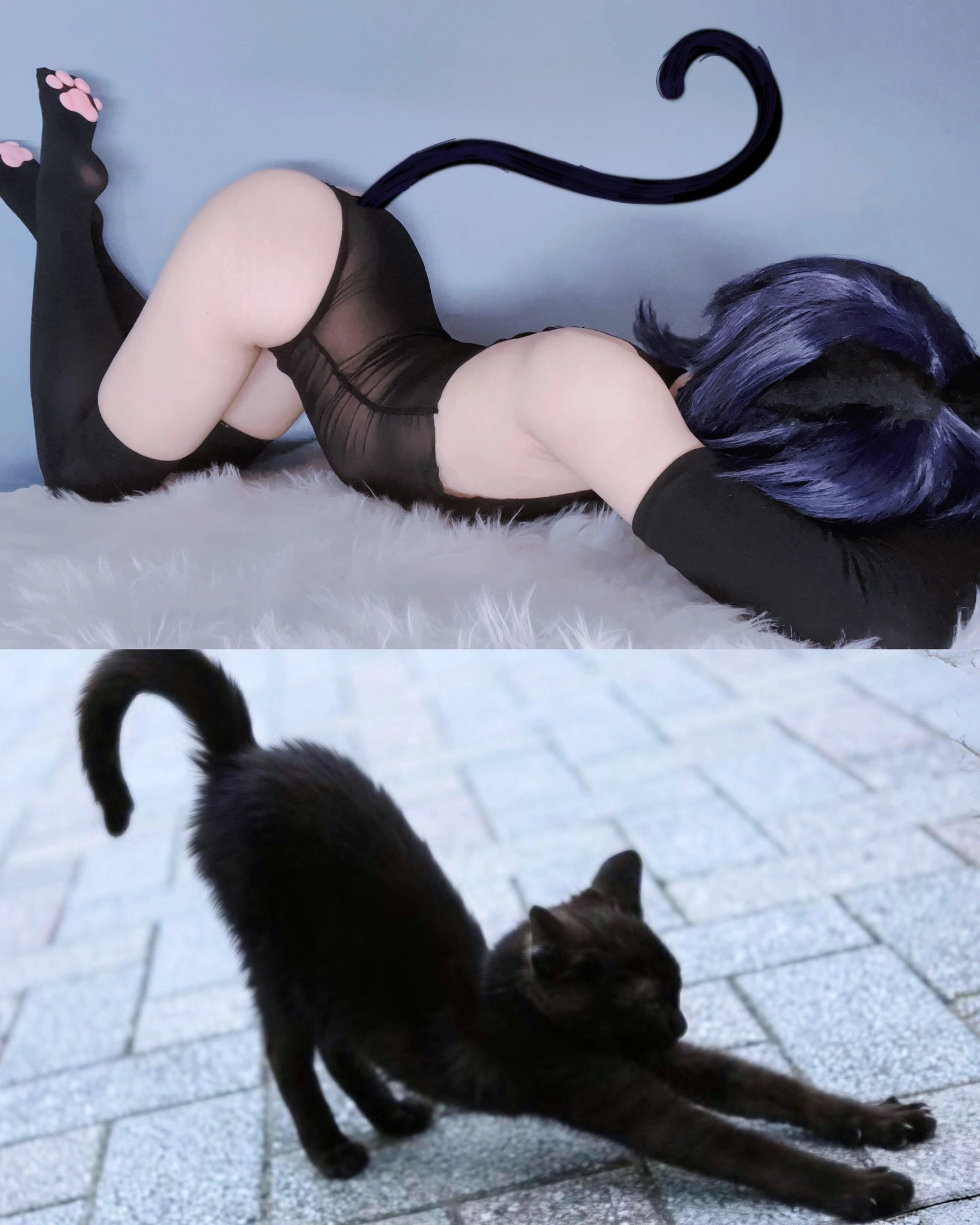 女人和一只猫在一张照片。