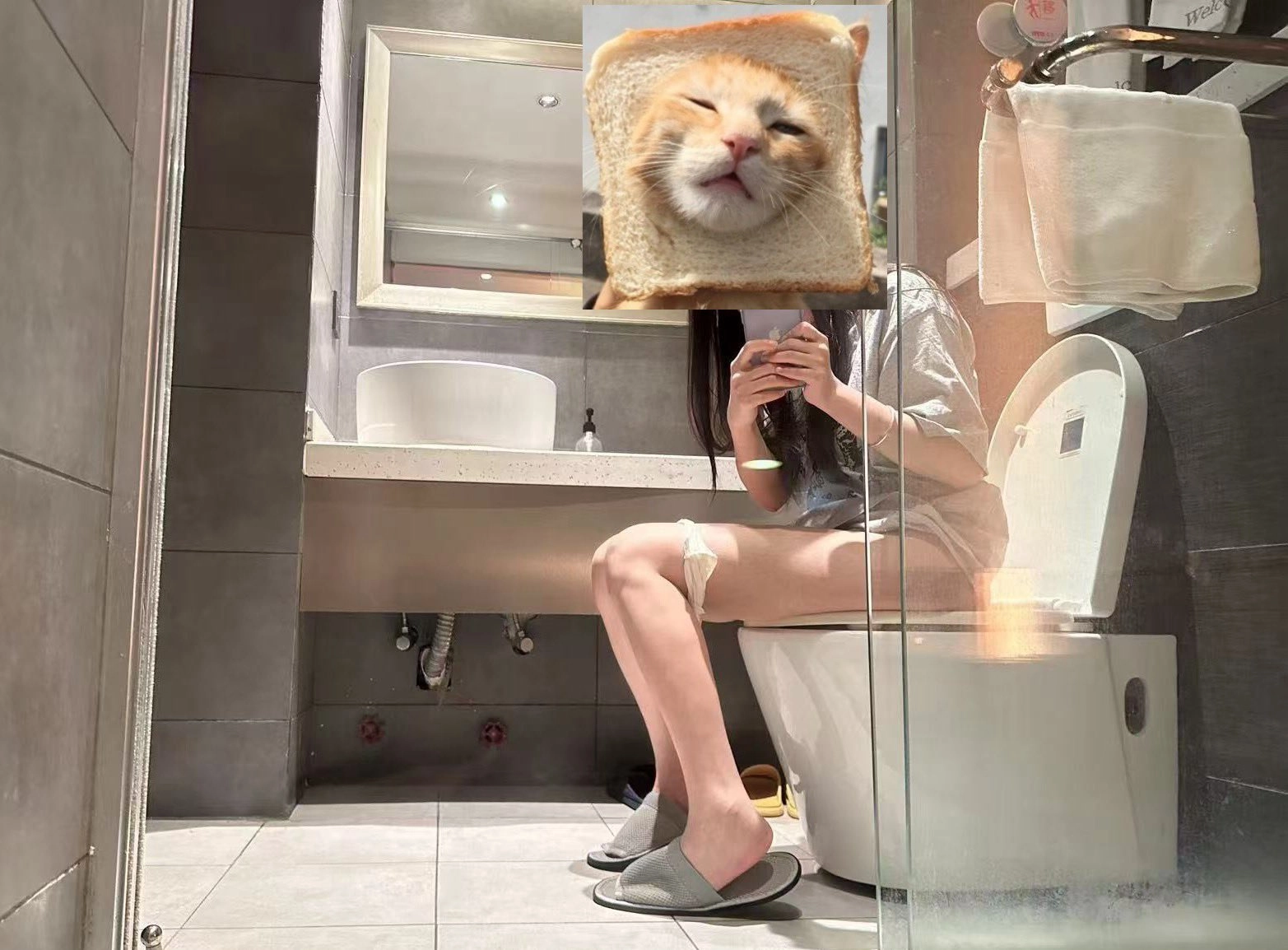 女人坐在厕所里,头上有一只猫。