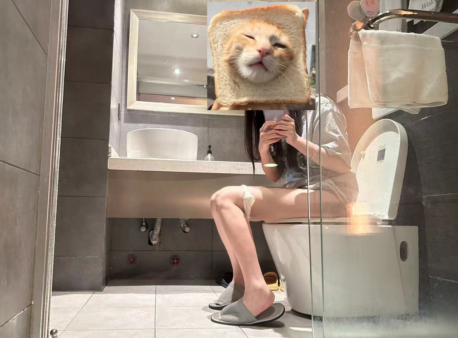 女人坐在厕所里,头上有一只猫。