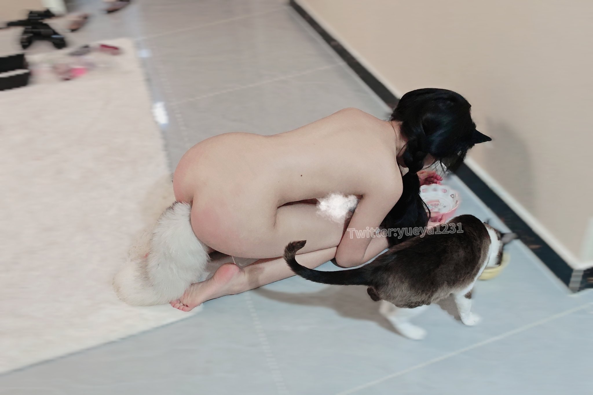 女人赤身裸体,喂一只猫。