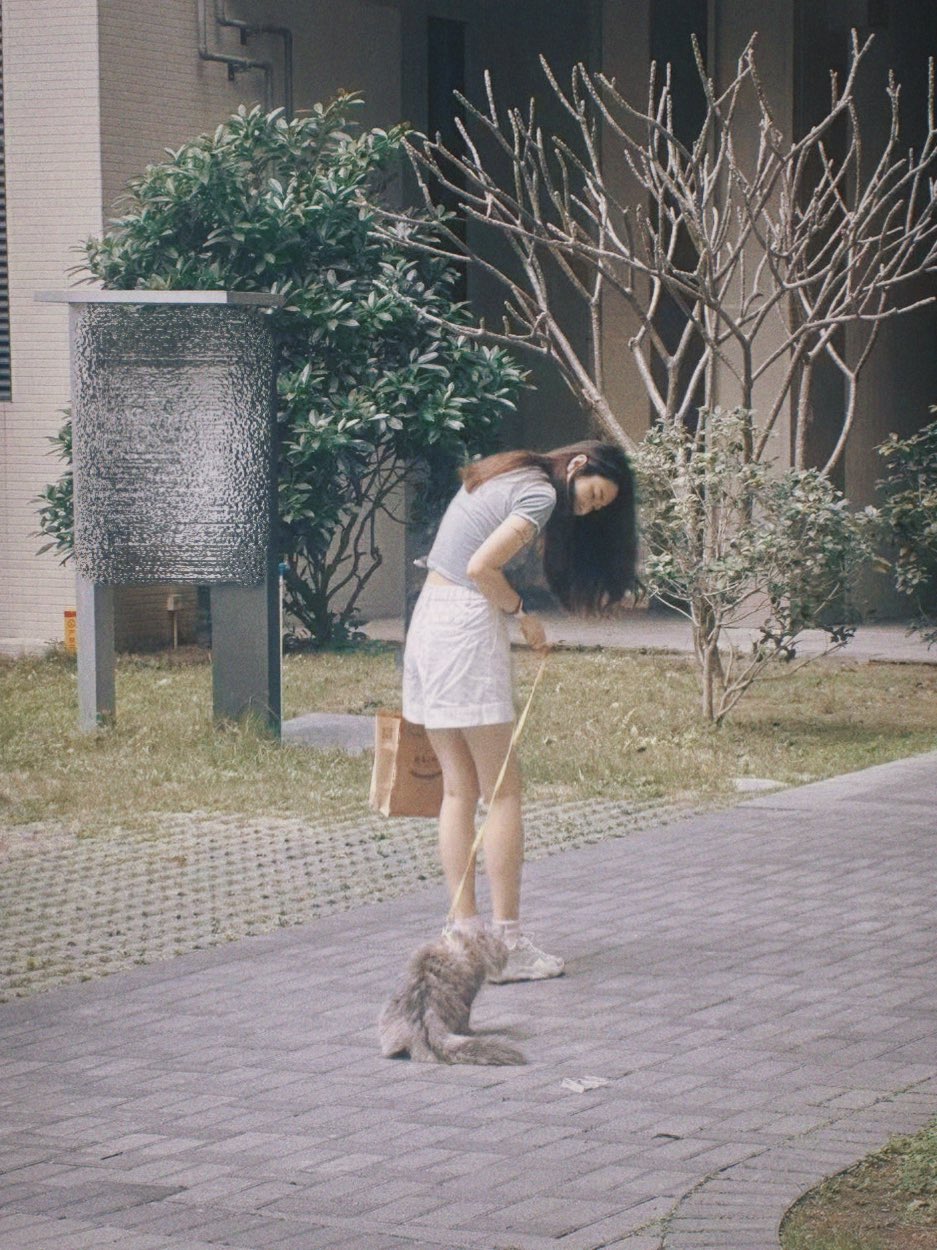 女人在一根绳子上走狗。