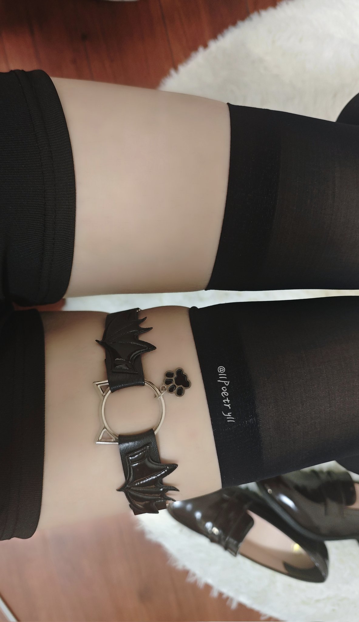 穿着黑色手的人,带着猫的魅力。