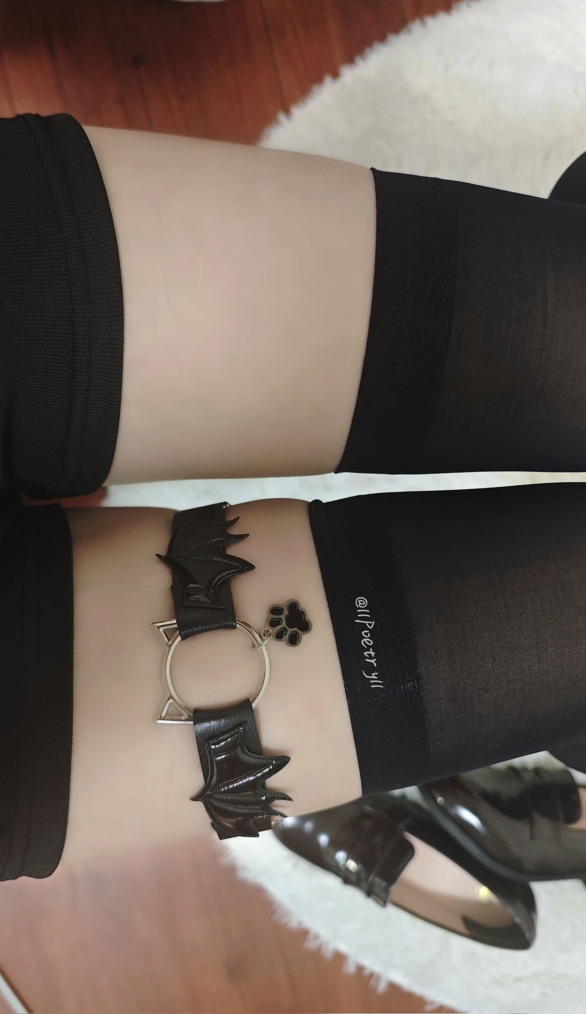 穿着黑色手的人,带着猫的魅力。