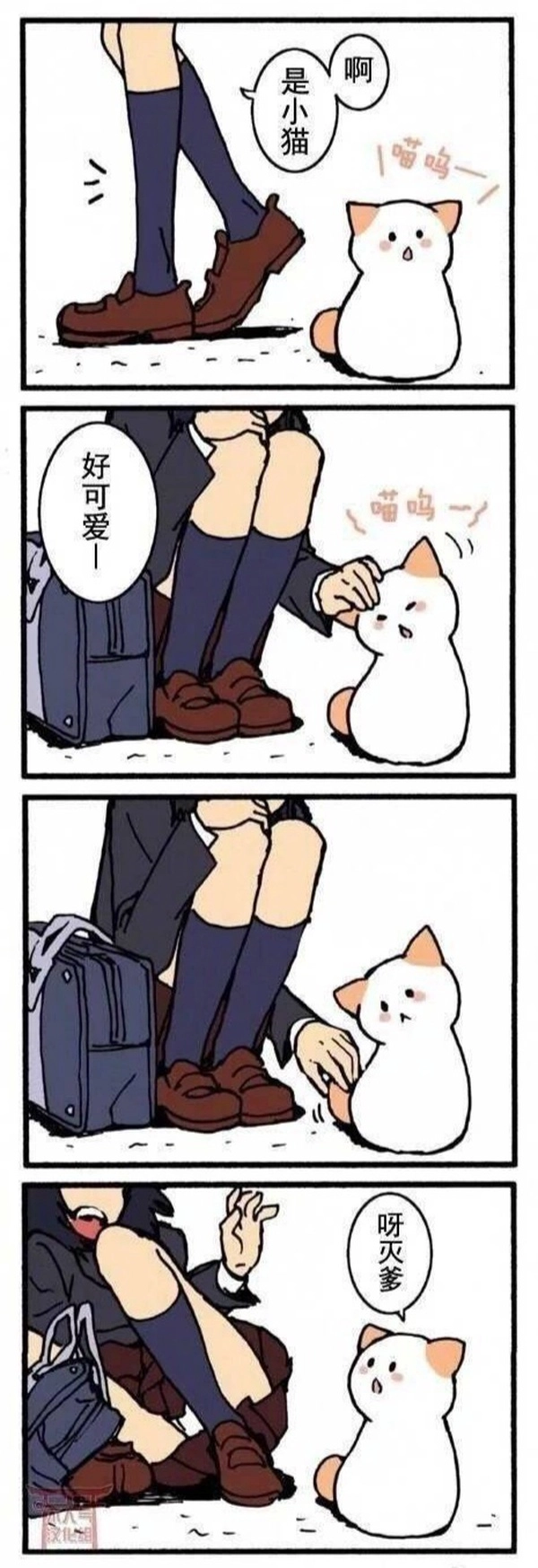 人坐在地板上,带着一只猫。