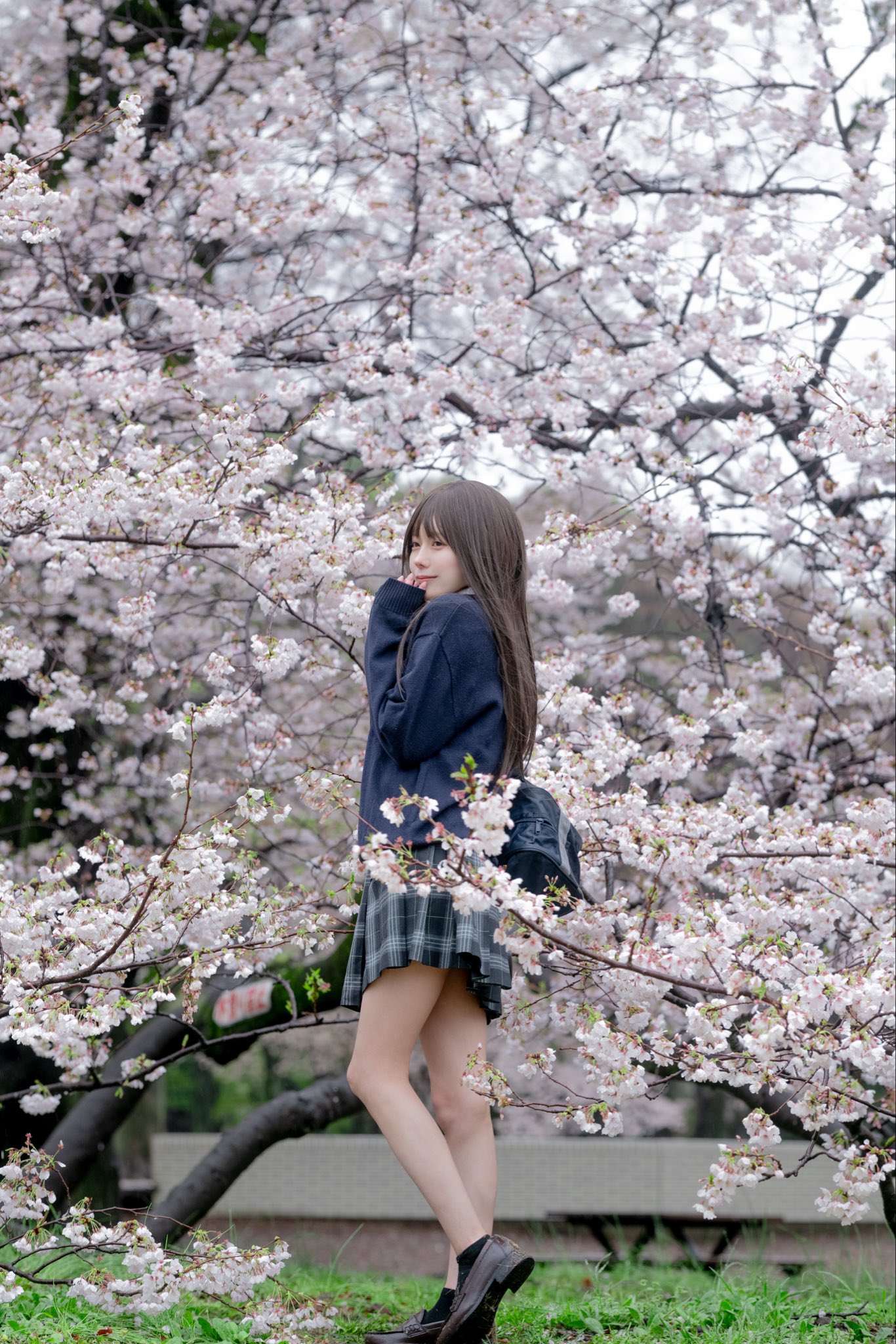 穿蓝色衬衫的女人站在一棵满是白色的花朵的树上。