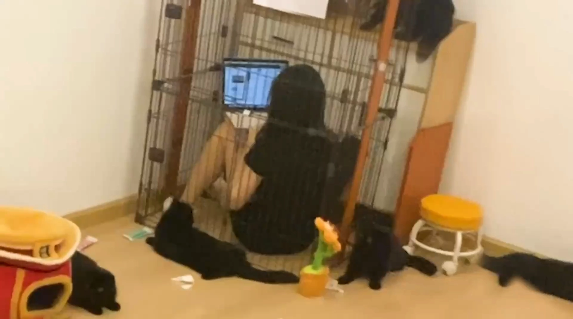 管最好关的那个