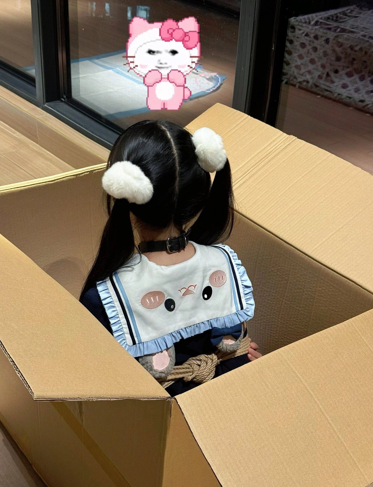 女孩在一个盒子里,带着一只被困的动物。