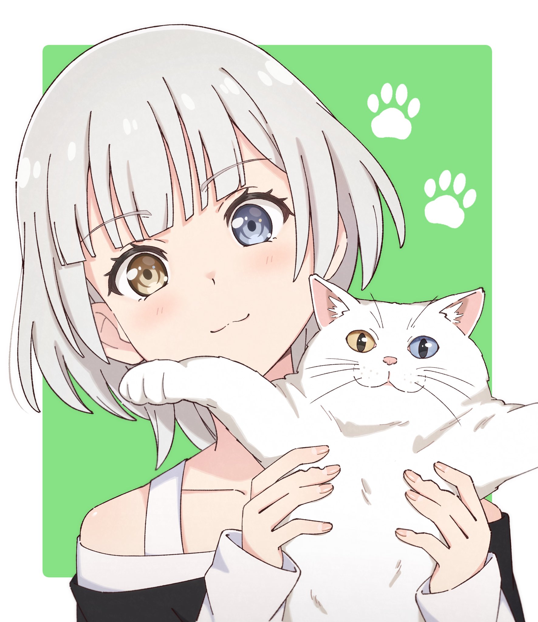 白头发的女人抱着一只白猫。