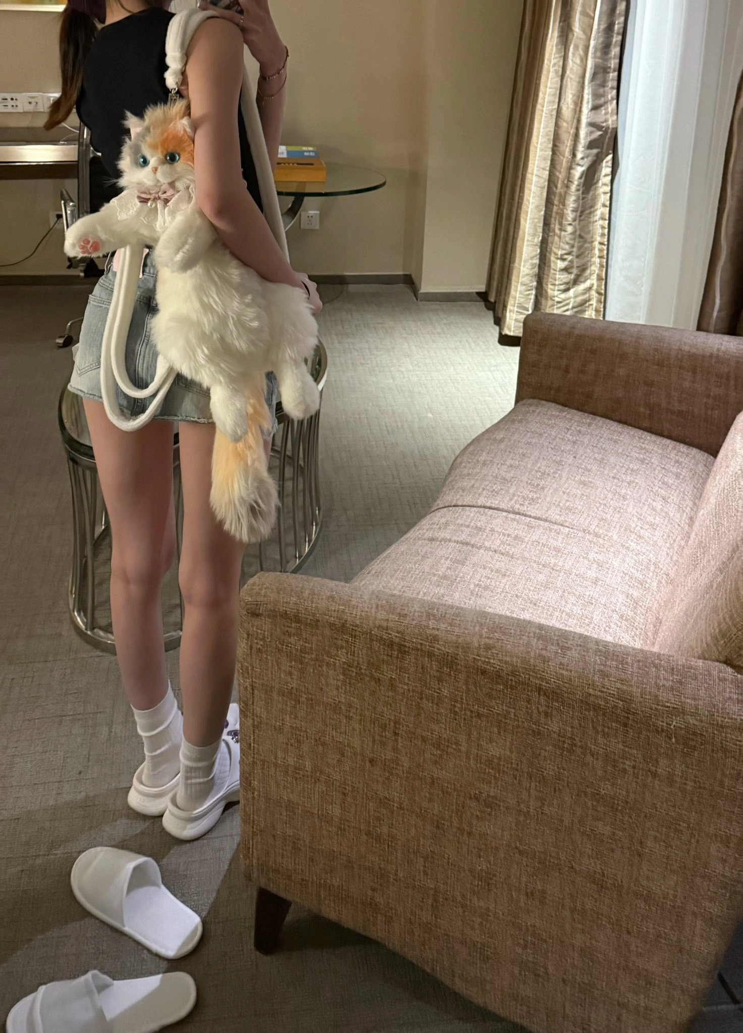 女人抱着一只猫