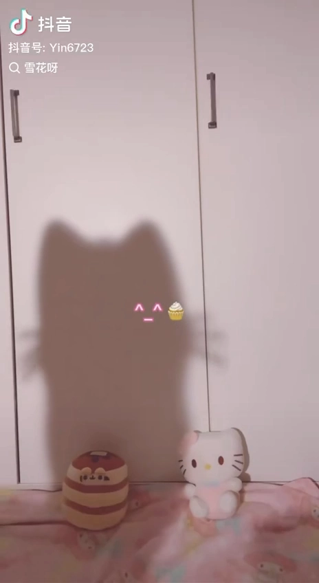 猫的影子在墙上。