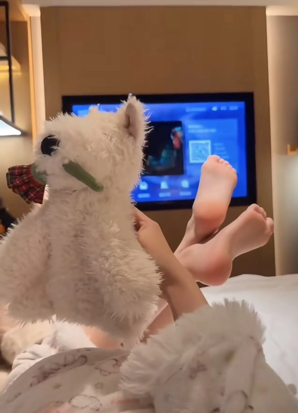 人躺在床上,带着一只白色的动物。