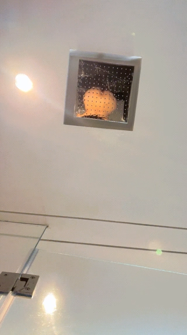 一個光明的裝置,以果實的形狀照亮。