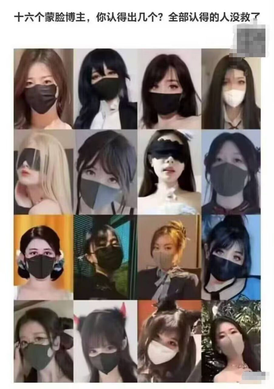 十二个女人戴着面具。