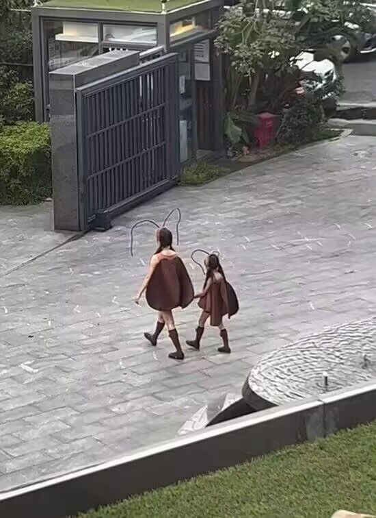 两名穿着蜜蜂的女孩走在一道走廊上。