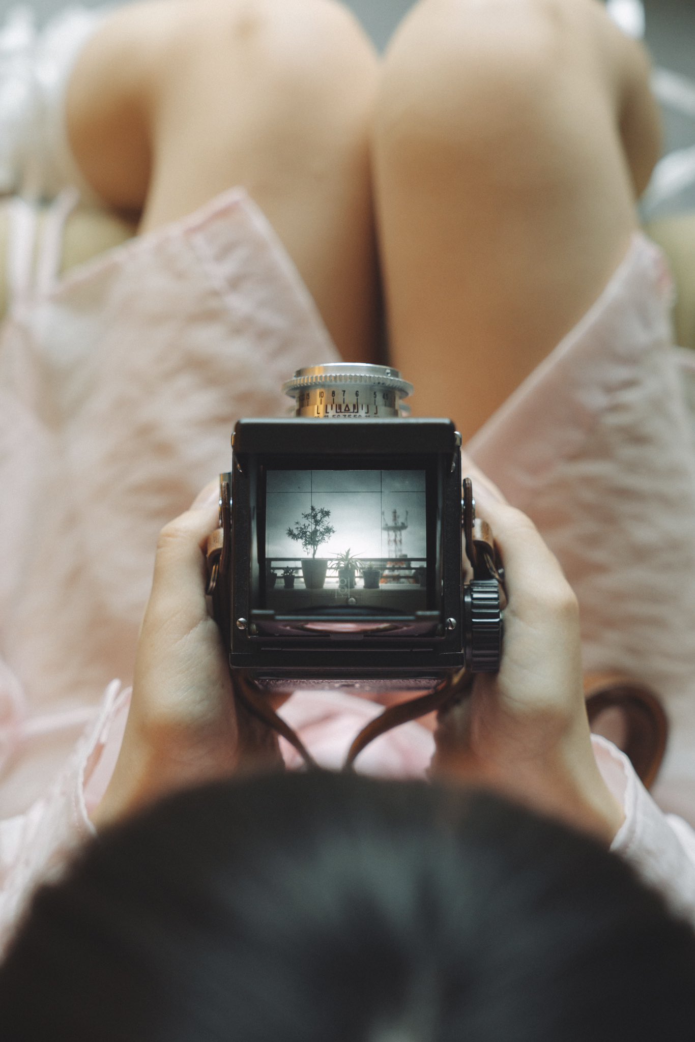 一双白色袜子,上面有一朵花。