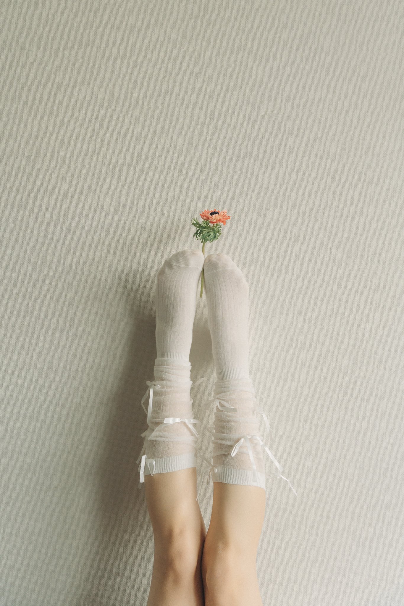 一双白色袜子,上面有一朵花。