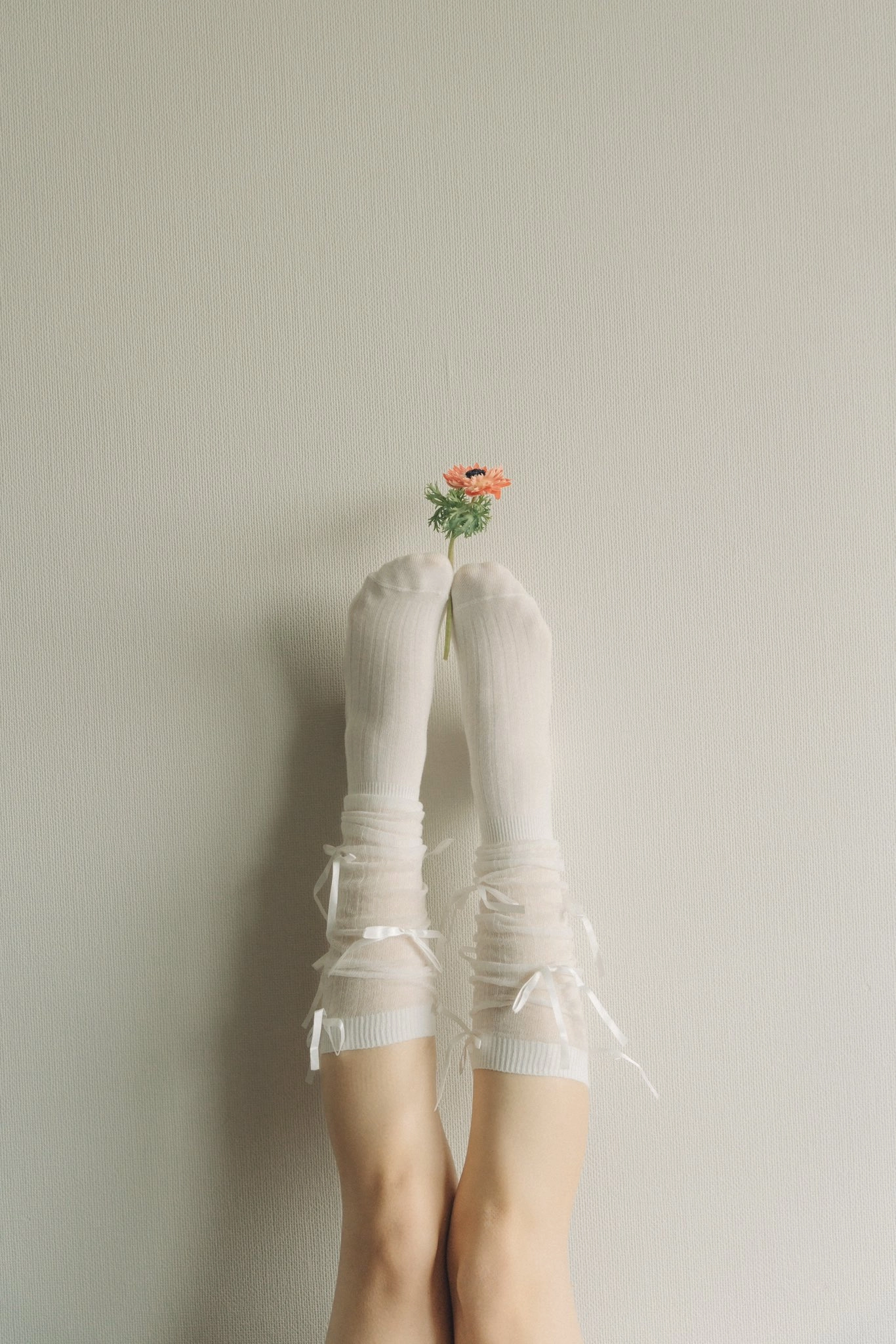 一双白色袜子,上面有一朵花。