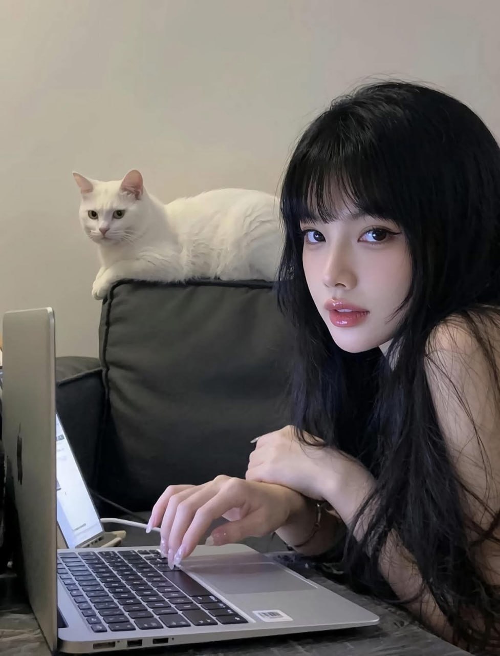 女人在笔记本电脑上打字,而猫躺在沙发上。