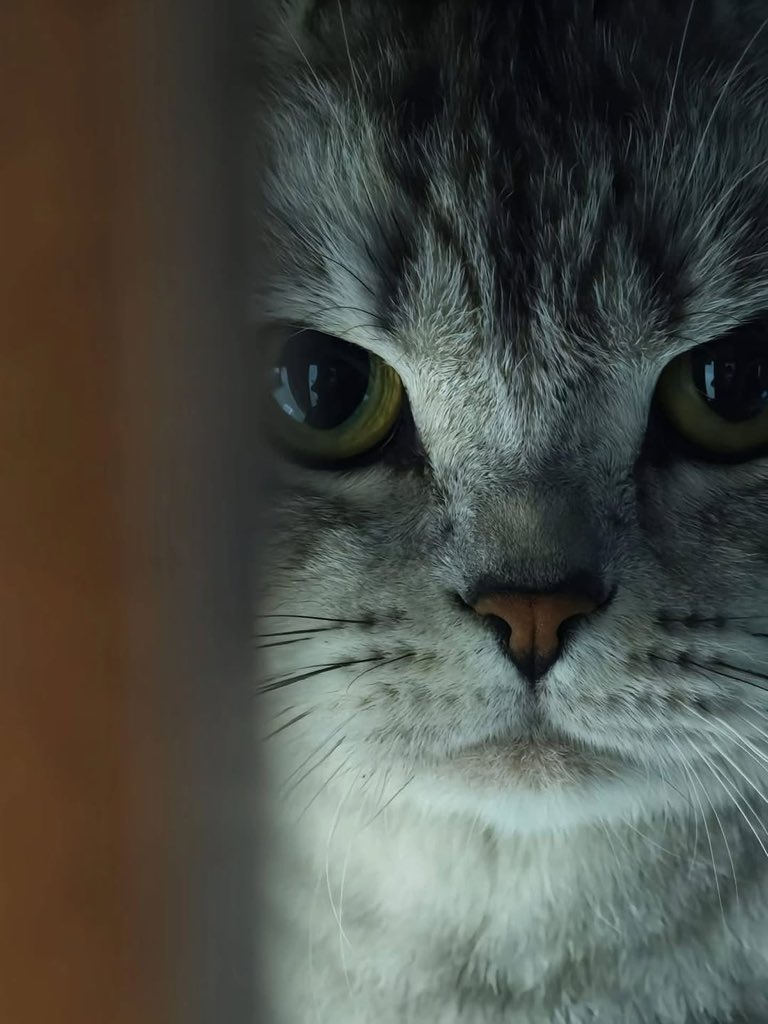 黑头发和红眼睛的女孩。