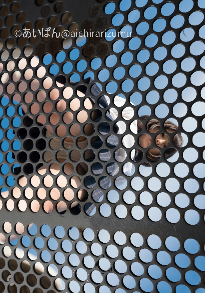 人可以看到一个金属围栏。