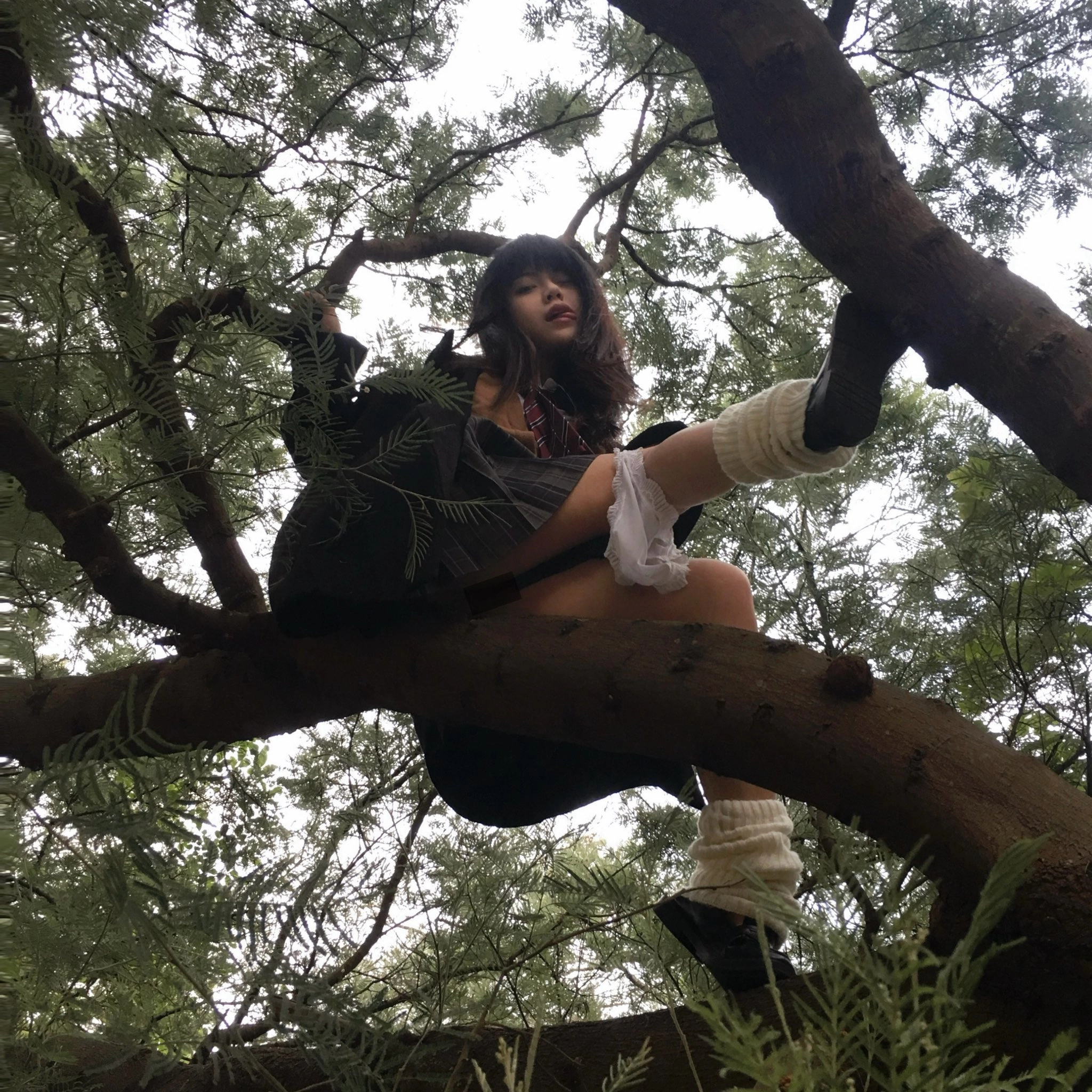 女人爬上一棵树