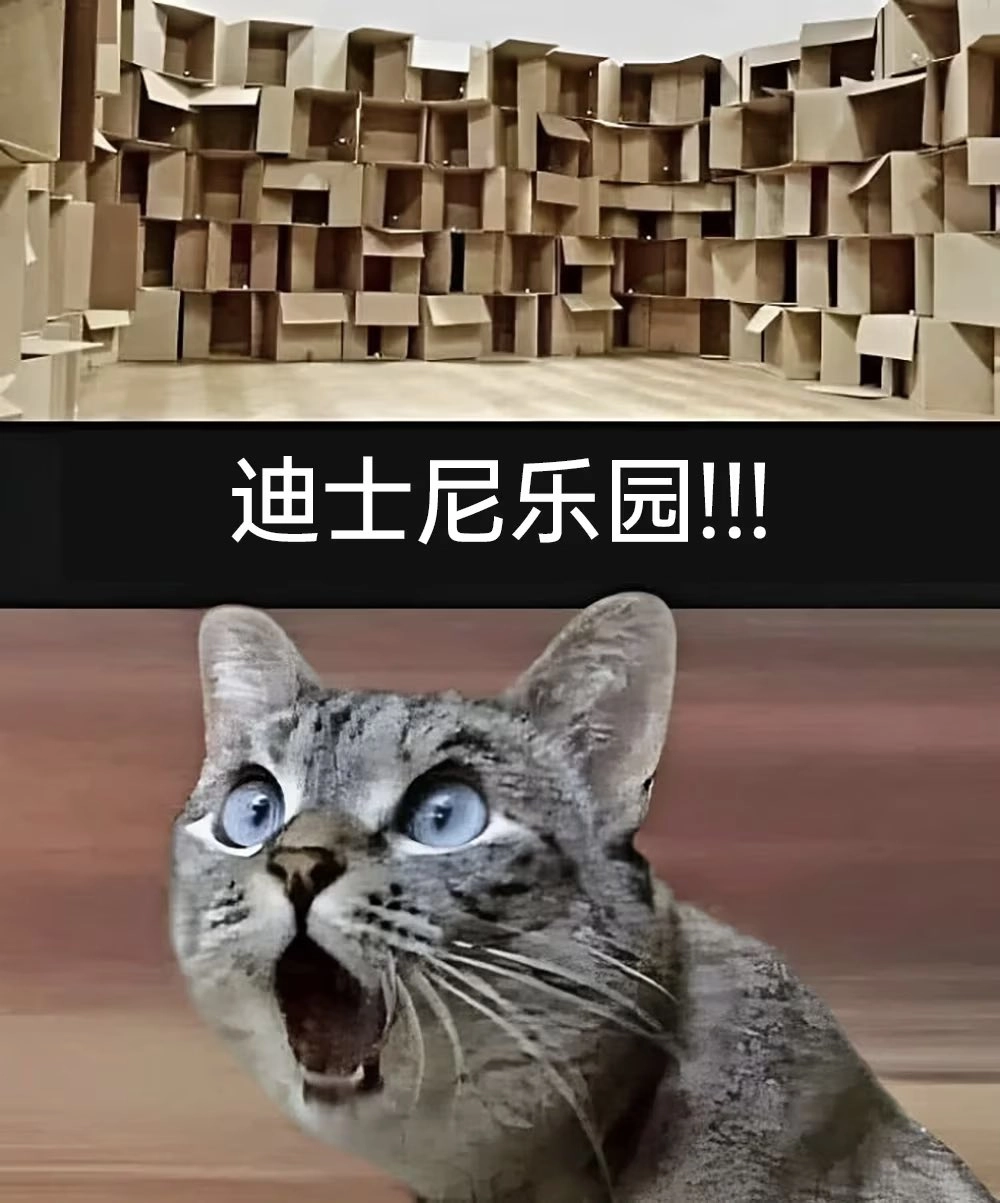 有蓝眼睛的猫。