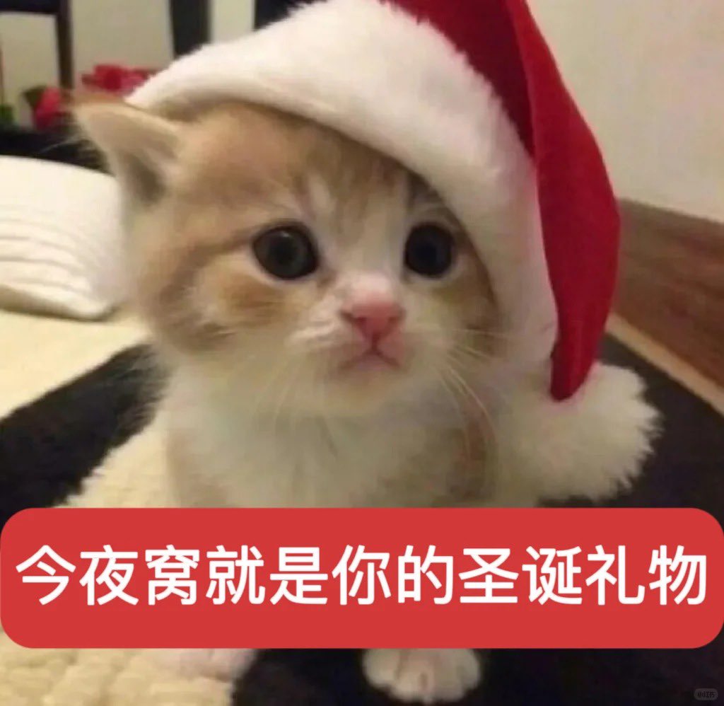 穿着兔子帽子的女人