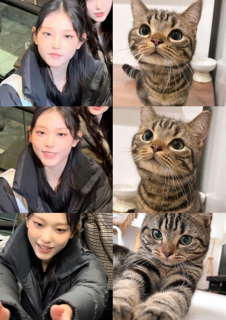 女人对一只猫微笑