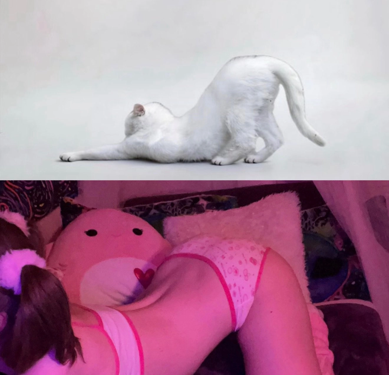 女人躺在一张床上,带着一只被困的动物。