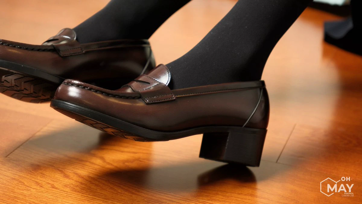 一双棕色鞋子,一双黑色的鞋链。