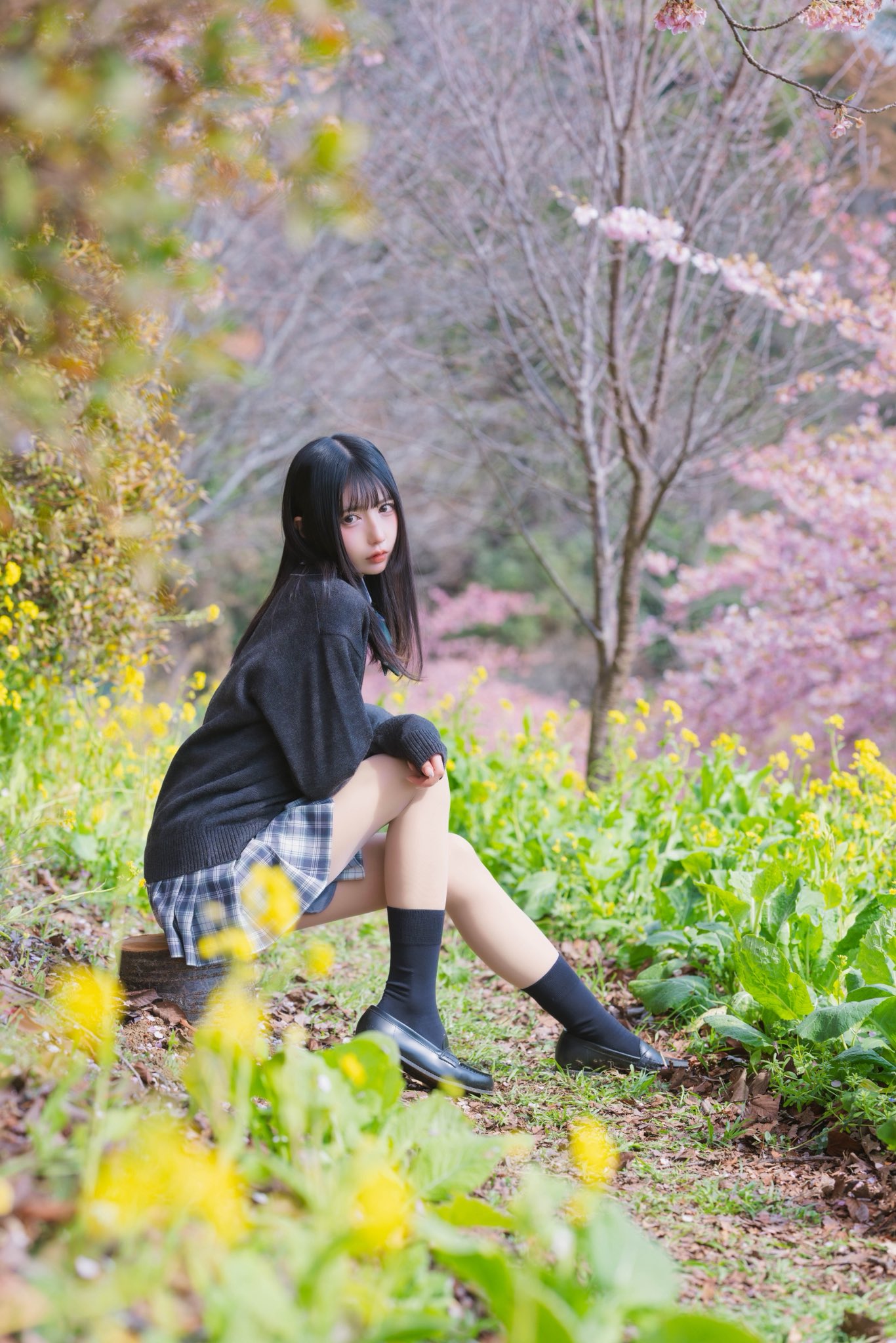 穿着黑色衬衫的女人坐在地上,在一片鲜花的田野里。