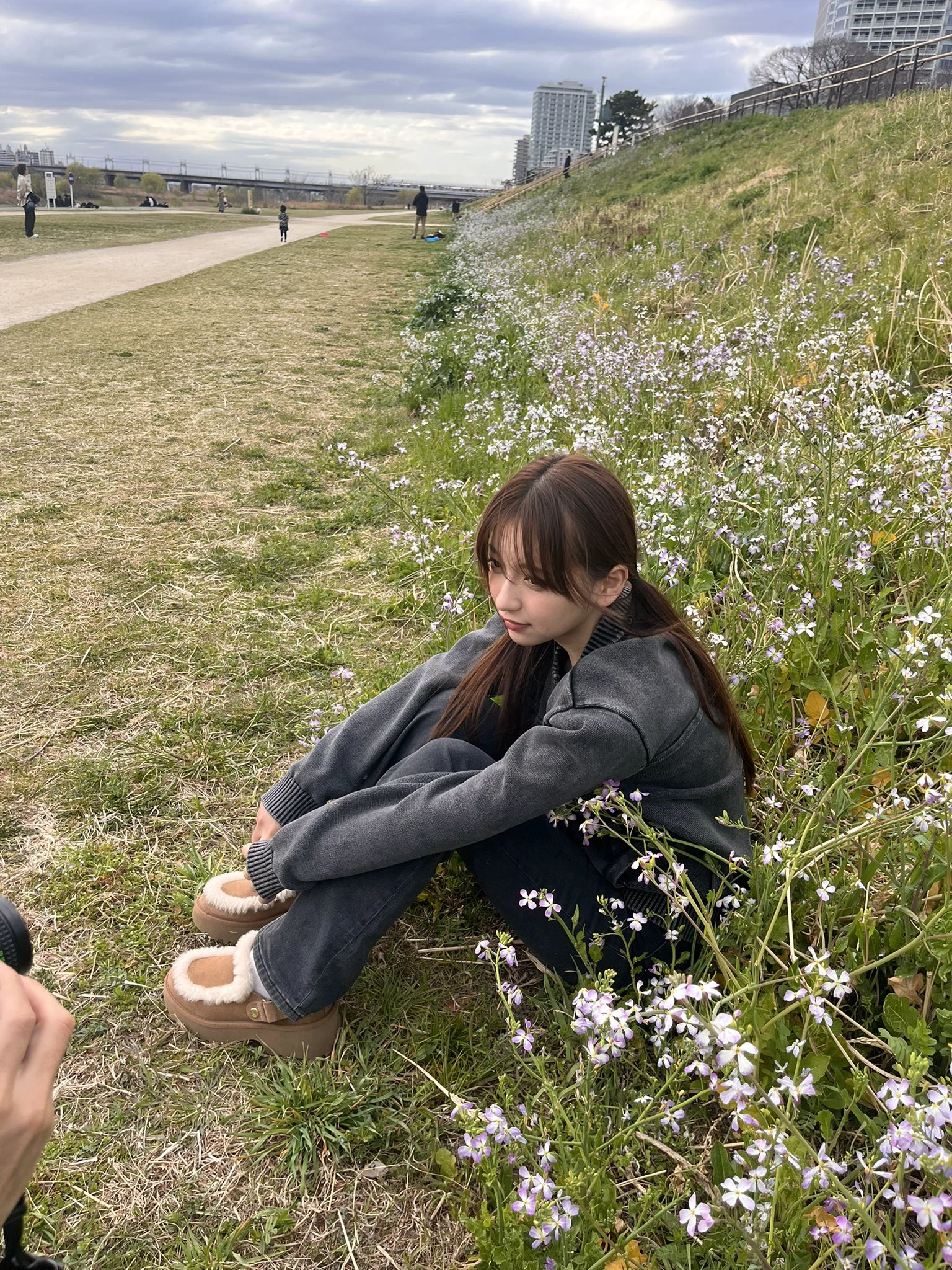 穿着灰色夹克的女人坐在一片花朵的田野里。