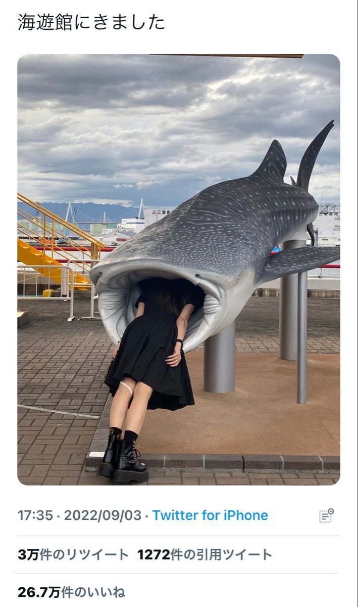 鲨鱼嘴里的小人儿