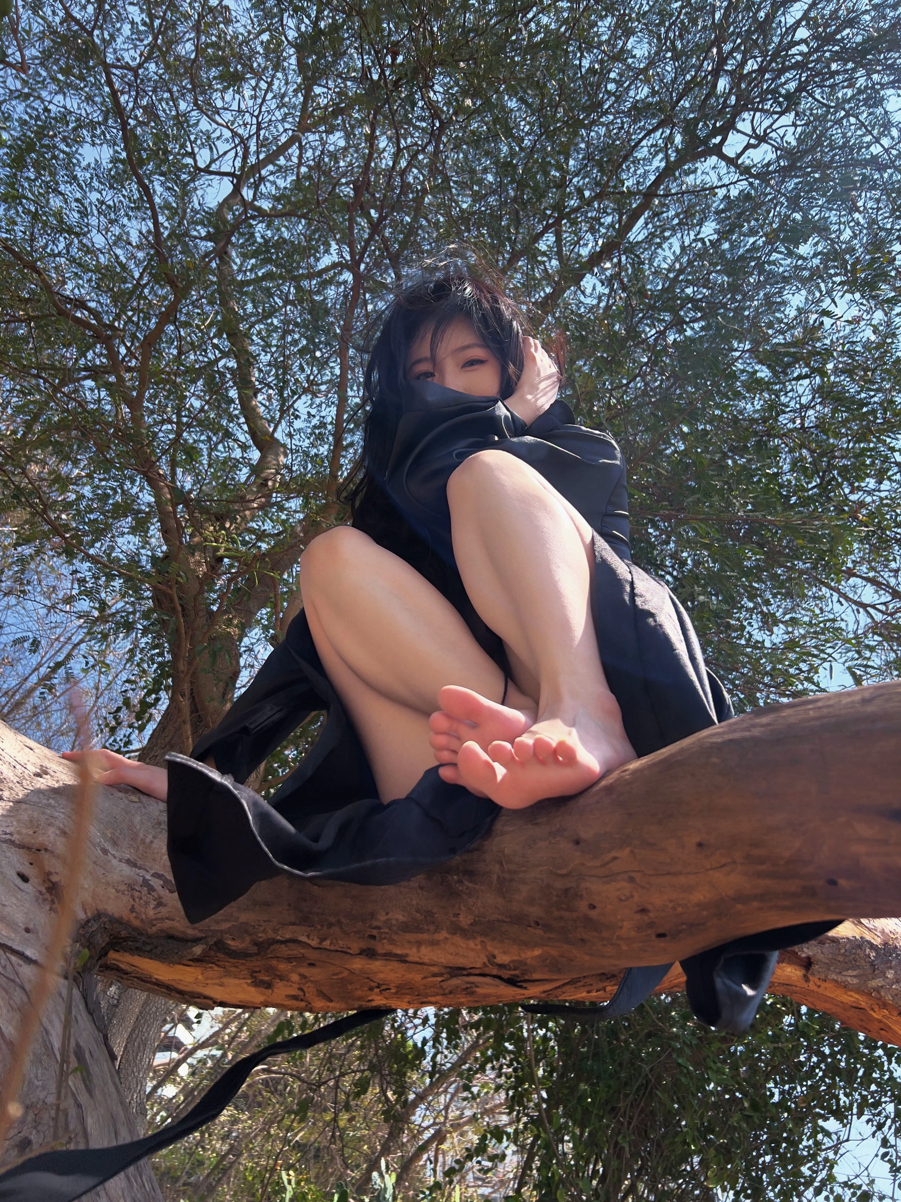 树上坐着个黑衣人