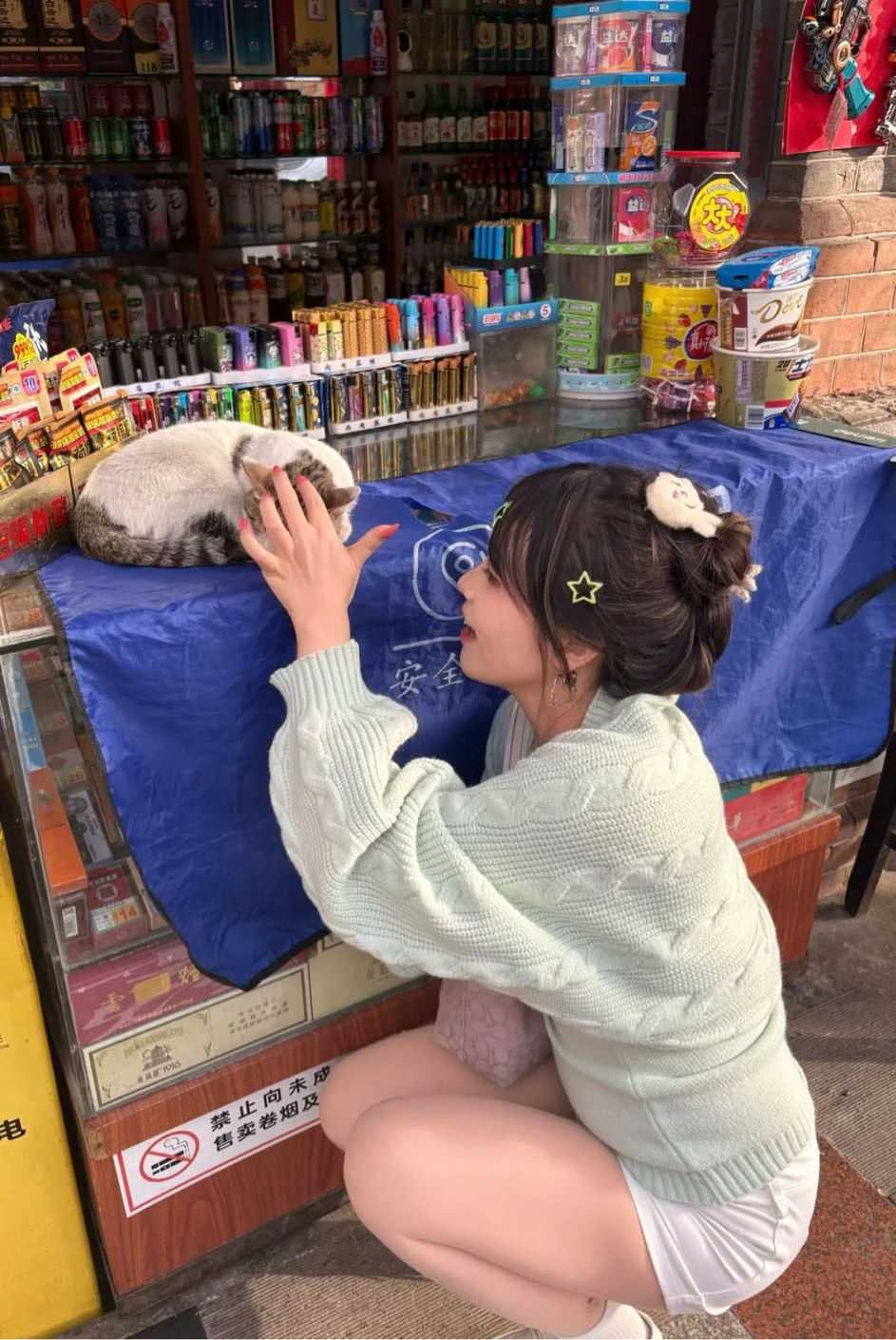 猫：你手这么多事，摸我干啥