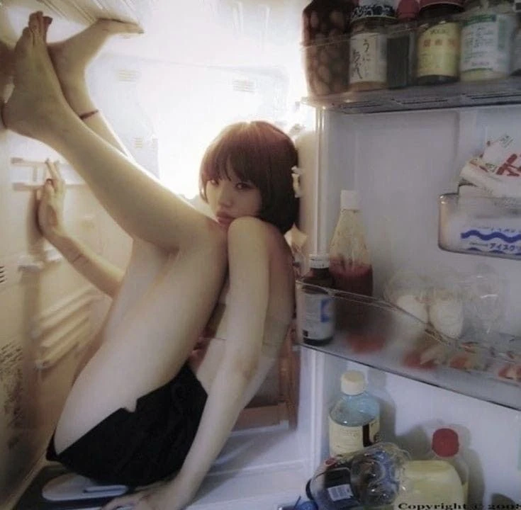 冰箱里的秘密成员