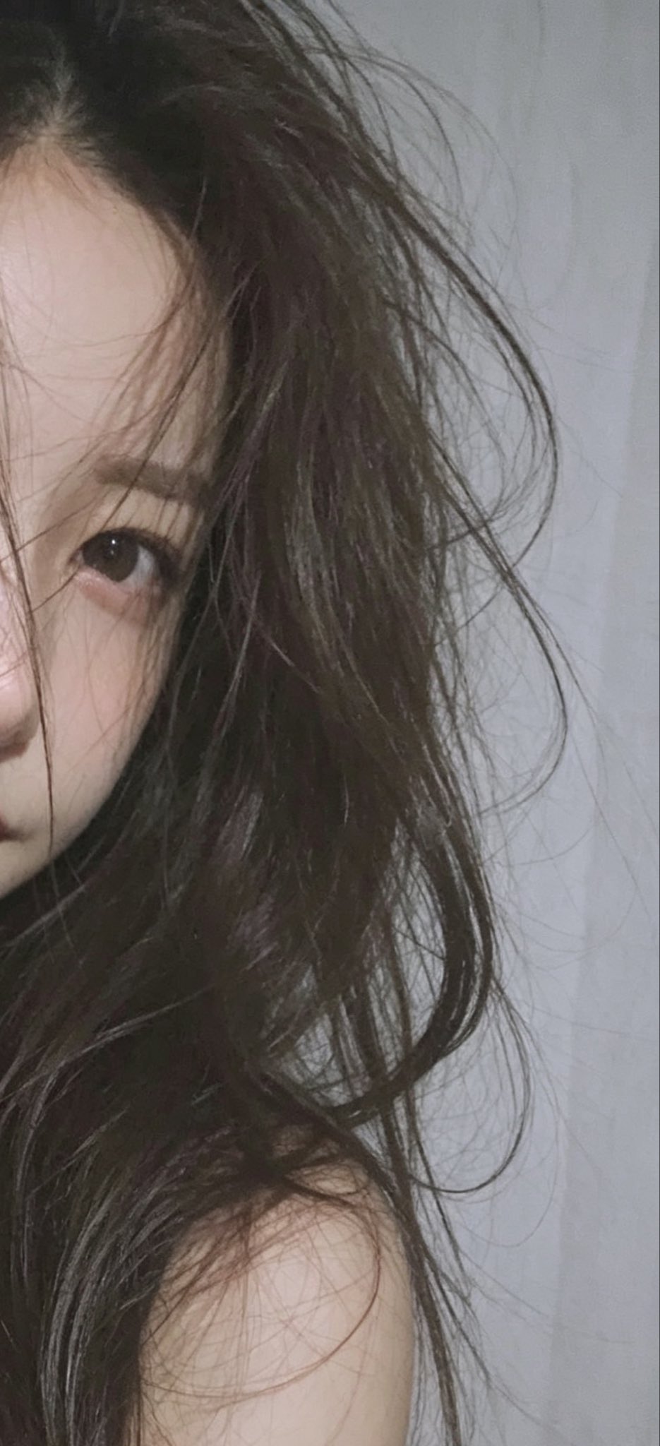 刚睡醒的狮子没洗头