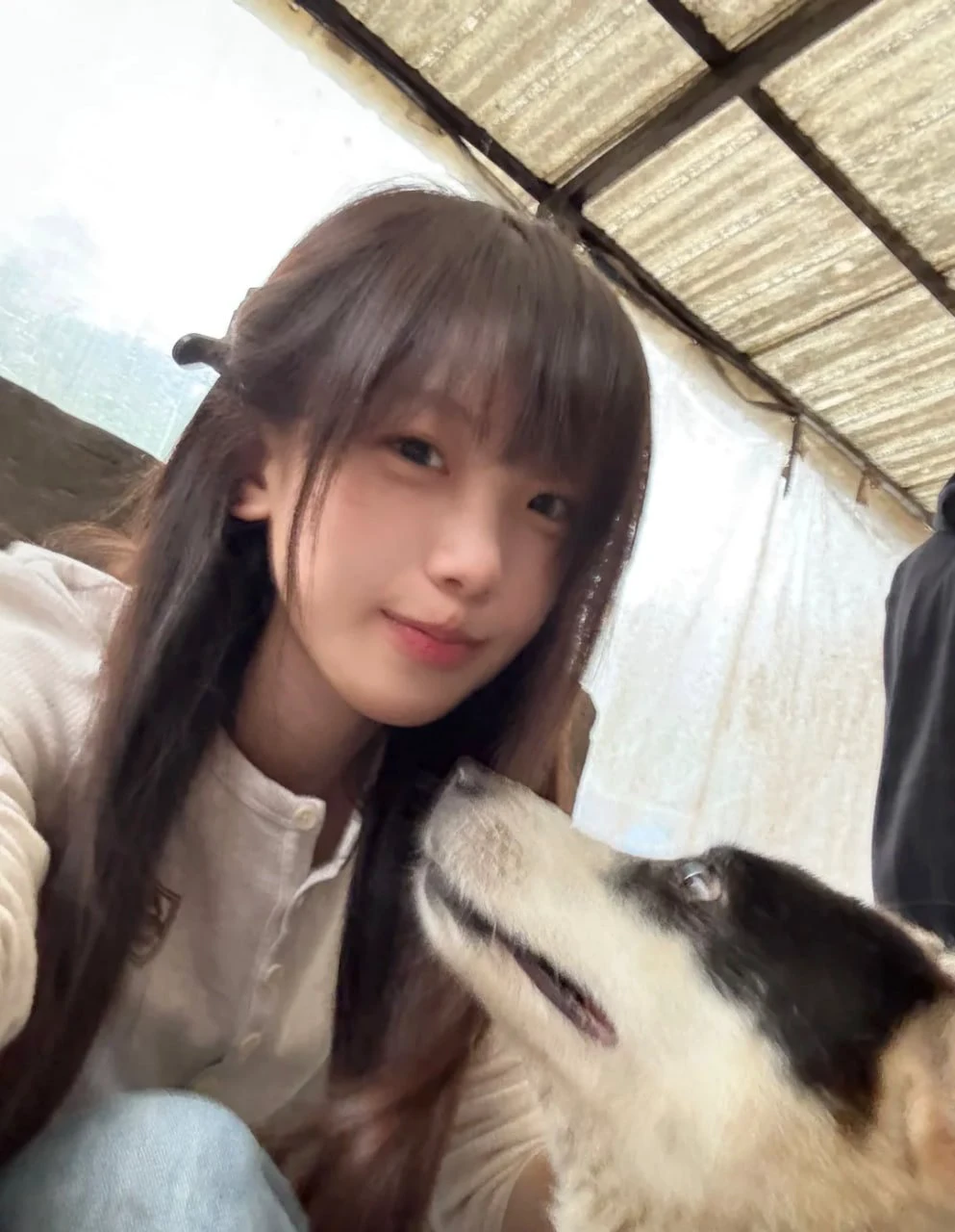 这狗眼神不太对劲