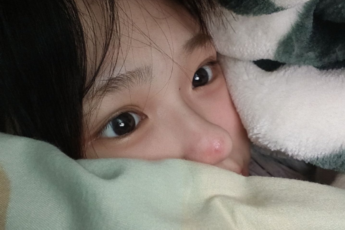 躲在被窝里偷窥世界